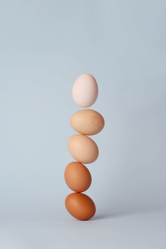 Egg