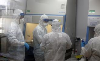 Processo de criação do teste da Covid-19 teve início no dia 17 de março, no Laboratório de Estudos em Vírus Emergentes do Instituto de Biologia