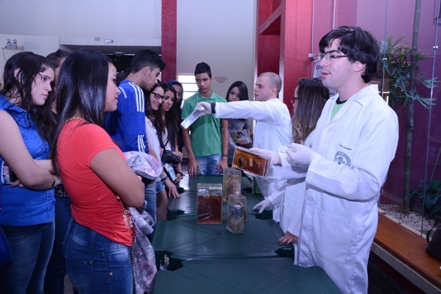 Fotos: Mercedes Santos. CADCC-FCM/Unicamp