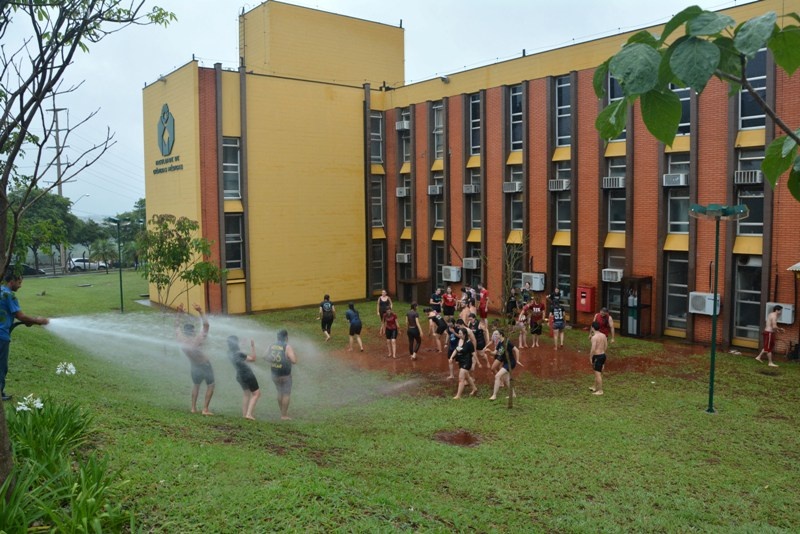 Foto: Mario Moreira - FCM/Unicamp