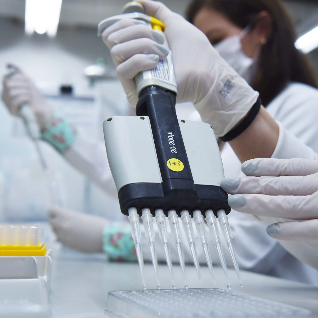 Laboratório divulga vaga de treinamento técnico com bolsa Fapesp na área de Biologia Molecular
