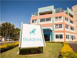 Boldrini