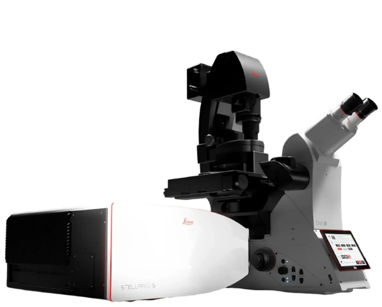 Microscópio Confocal STELLARIS